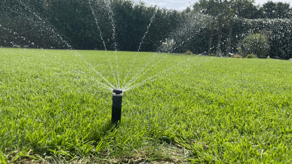 Laufender Regner verteilt Wasser gleichmäßig über einen gepflegten Rasen